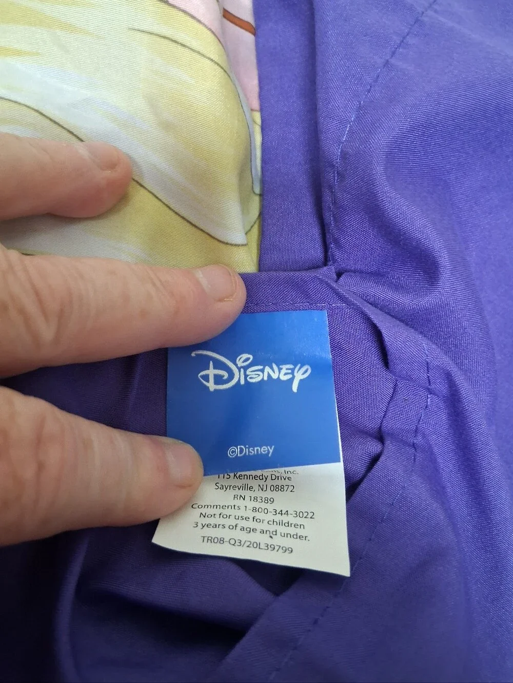 Disney Frozen Elsa And Anna Standard Size Pillow Sham